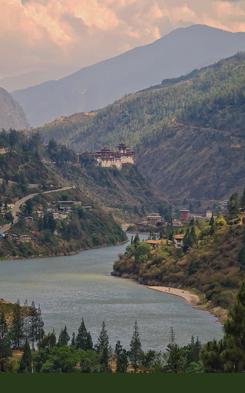 pexels-photo-4619983