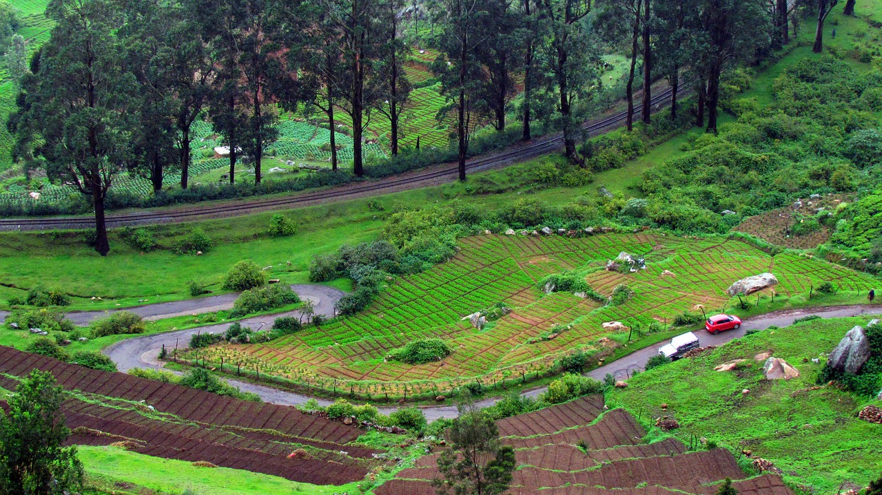 ooty-2298522_12801
